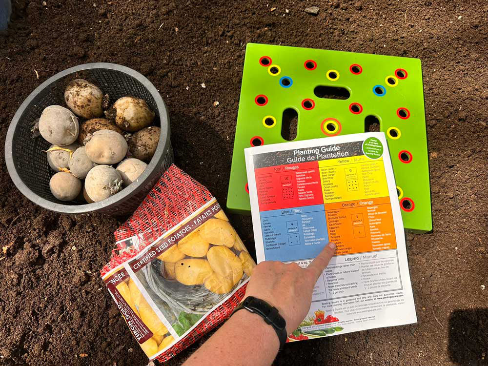 2026 The Ultimate Spring Planting Sidekick-SEAGRIL™Garden Companion