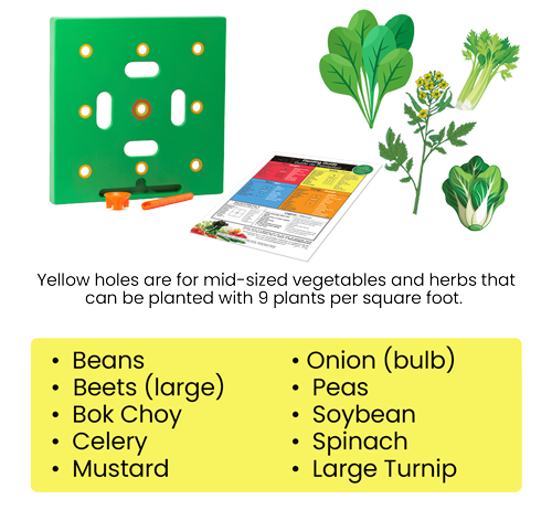 2026 The Ultimate Spring Planting Sidekick-SEAGRIL™Garden Companion