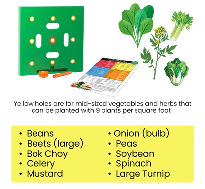 2026 The Ultimate Spring Planting Sidekick-SEAGRIL™Garden Companion