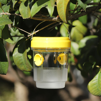 Non-Toxic Mosquito Repellent – Protect Your Family From CDC-Warned Dengue & Chikungunya