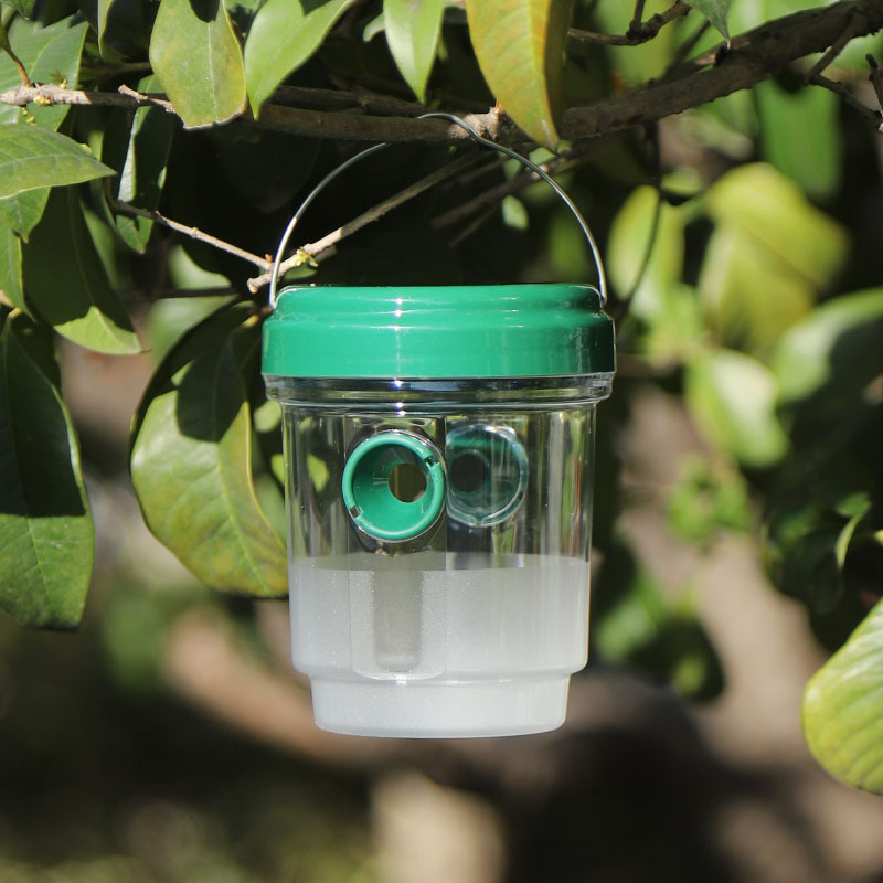 Non-Toxic Mosquito Repellent – Protect Your Family From CDC-Warned Dengue & Chikungunya