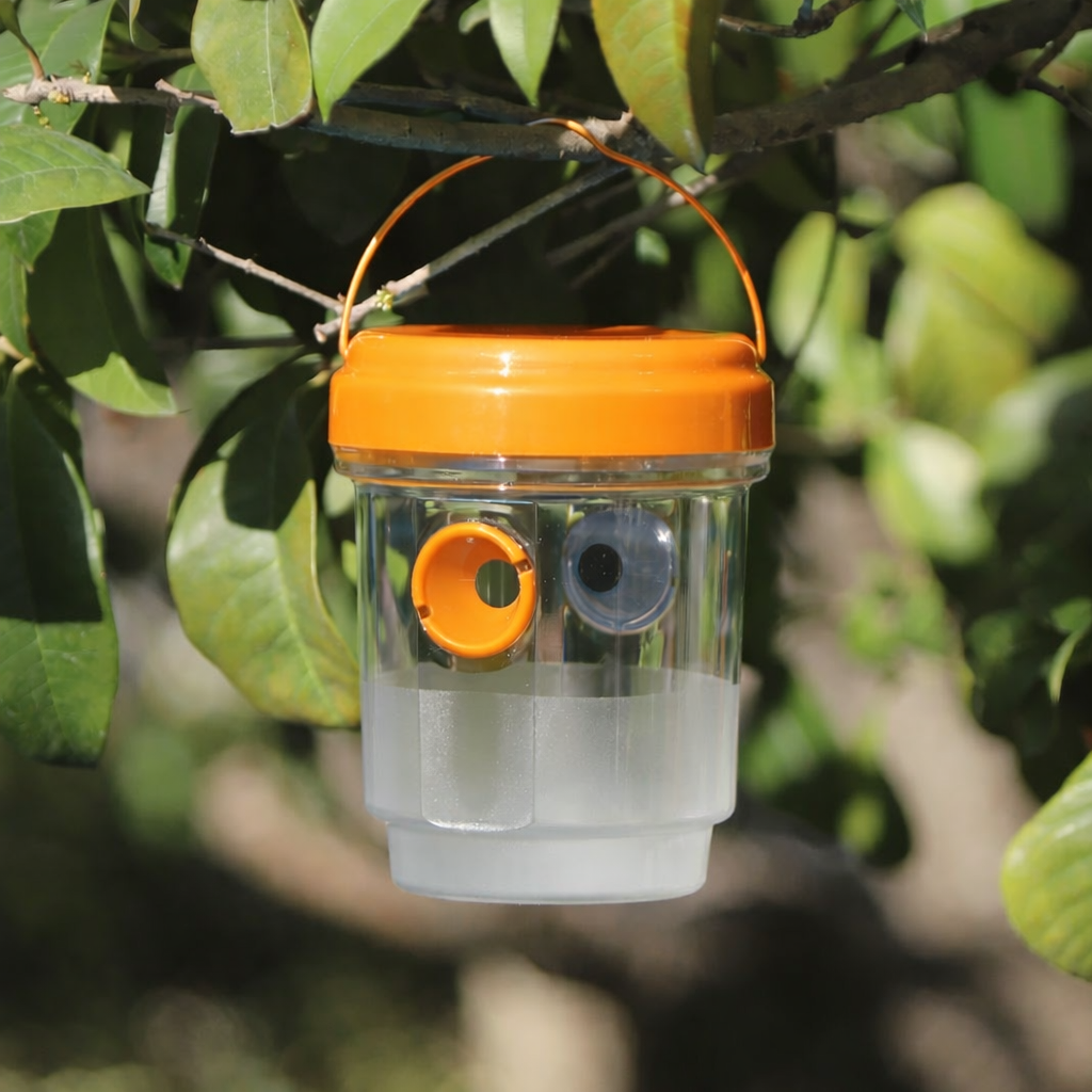 Non-Toxic Mosquito Repellent – Protect Your Family From CDC-Warned Dengue & Chikungunya